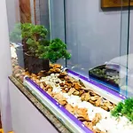 호텔 Venus Valladolid 빌라누블라