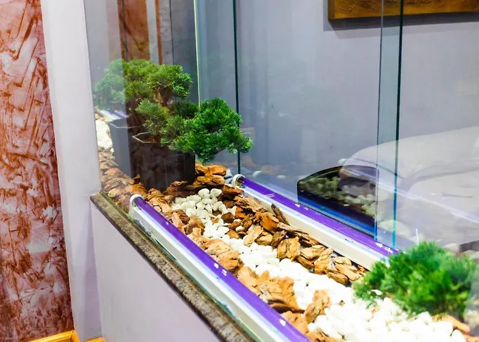 Szálloda Venus Valladolid Villanubla